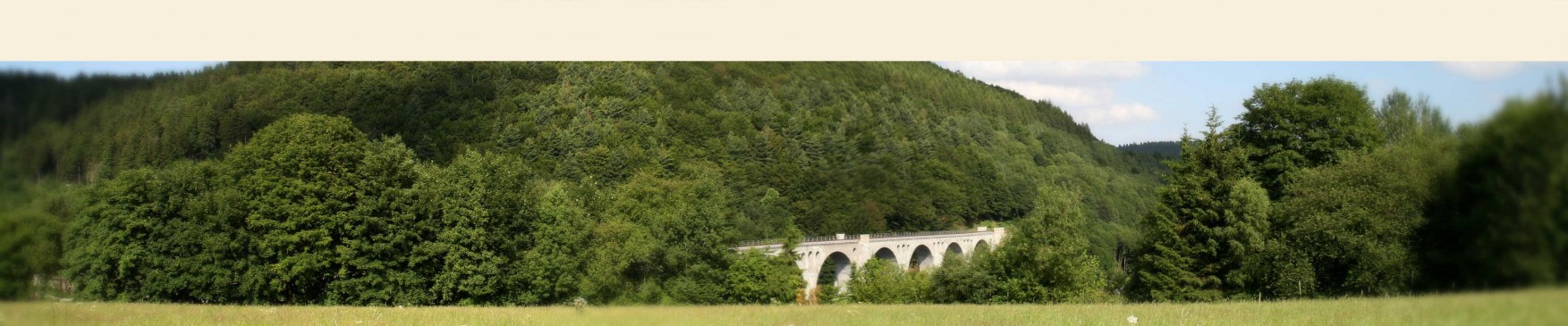 Willingen Upland