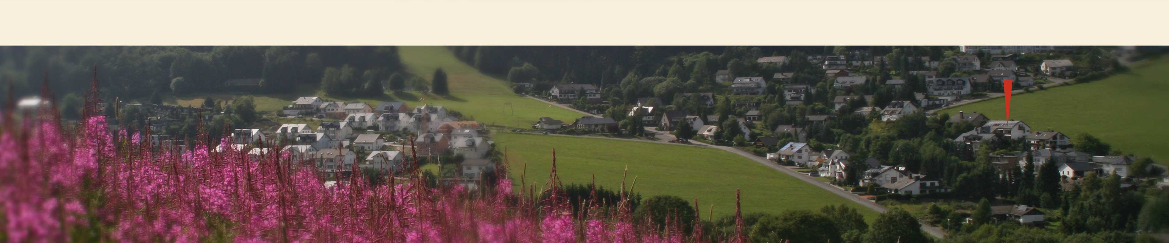 Willingen zu jeder jahreszeit