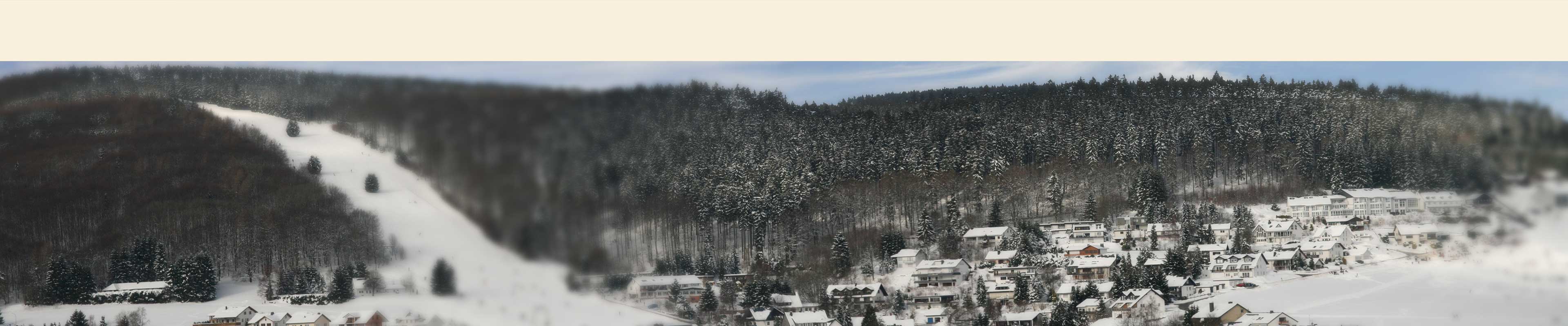 Willingen im Winter